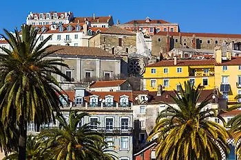 ميمو الفاما - ديزاين Lisboa